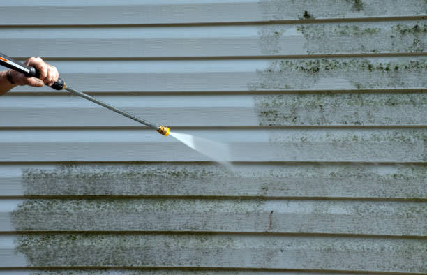 Best Roof Washing  in Icard, NC